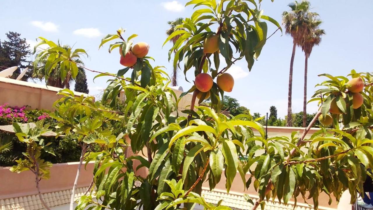 Riad Zouhour Marrakesh Exterior photo