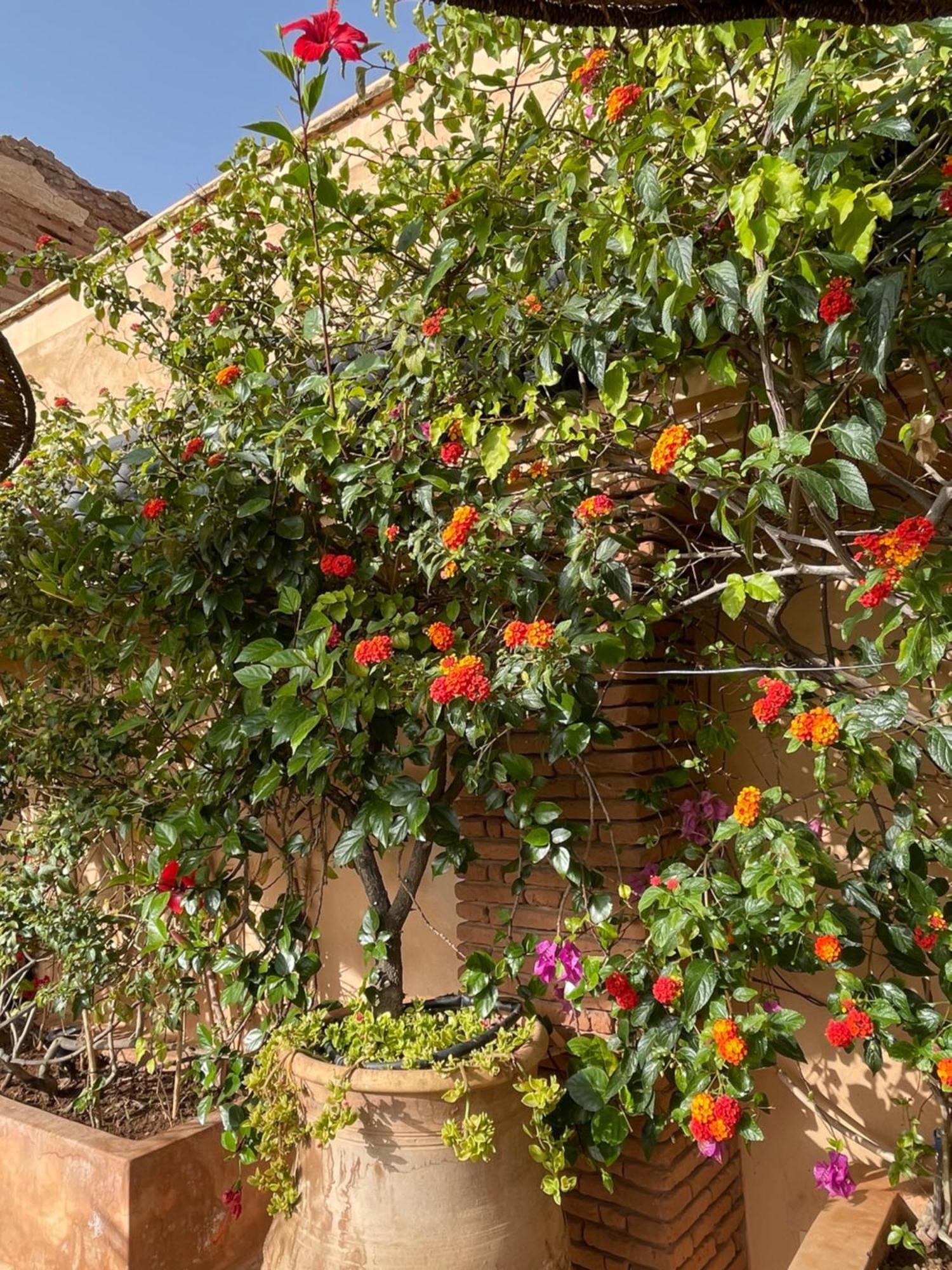 Riad Zouhour Marrakesh Exterior photo