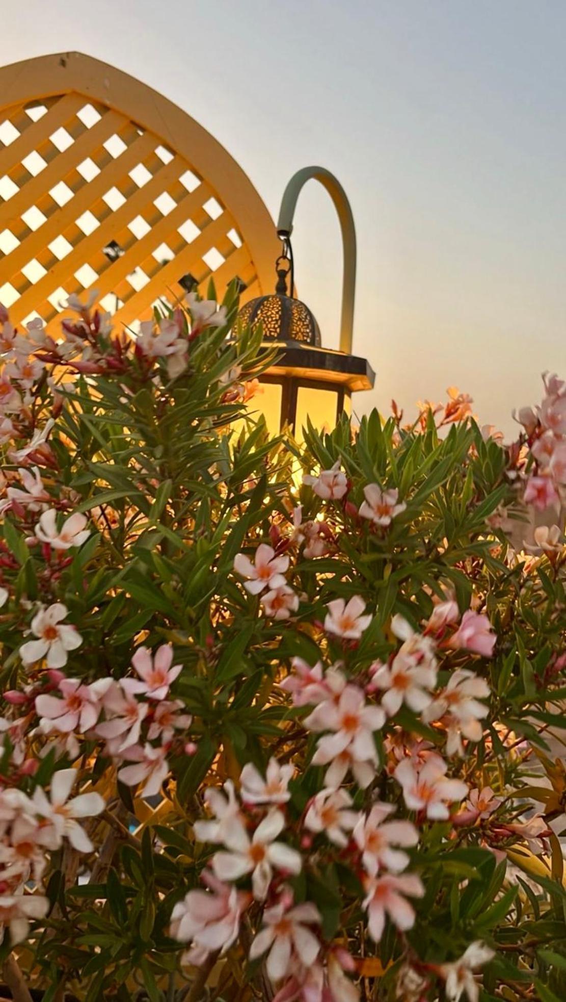 Riad Zouhour Marrakesh Exterior photo
